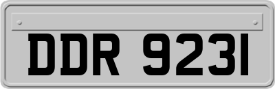 DDR9231