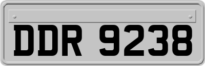 DDR9238
