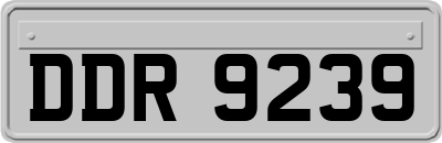DDR9239