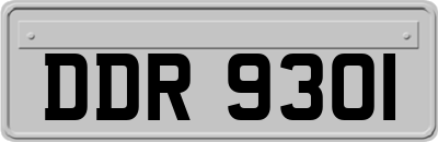 DDR9301