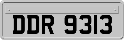 DDR9313