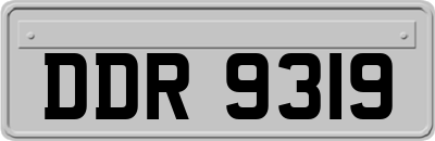 DDR9319