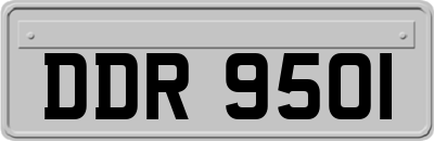 DDR9501