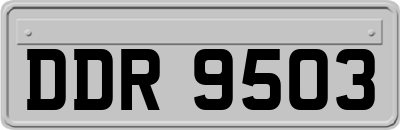 DDR9503