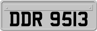 DDR9513