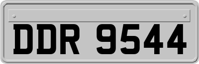 DDR9544