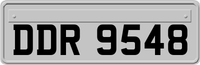 DDR9548
