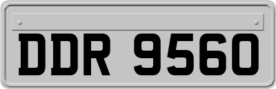 DDR9560