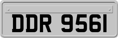 DDR9561