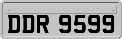 DDR9599