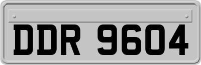 DDR9604