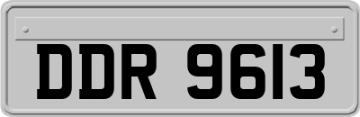 DDR9613
