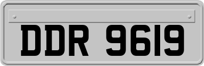DDR9619