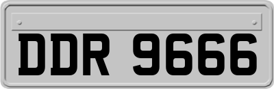 DDR9666