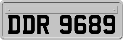 DDR9689