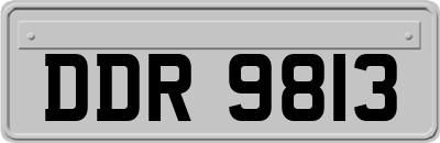 DDR9813