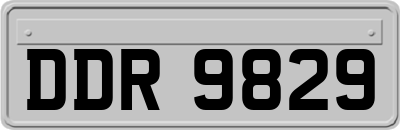 DDR9829