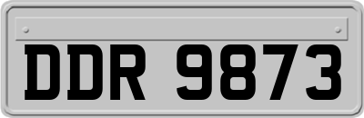 DDR9873