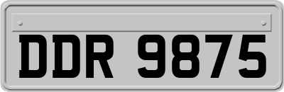 DDR9875
