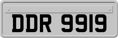 DDR9919