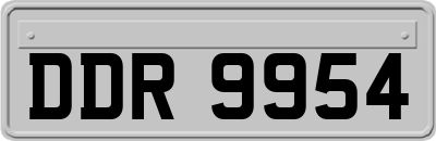 DDR9954