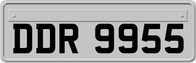 DDR9955