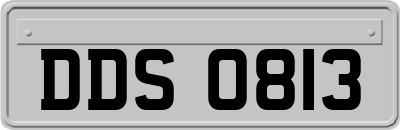 DDS0813