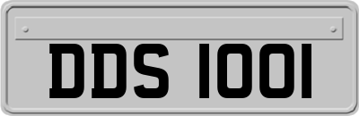 DDS1001