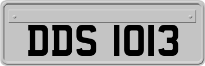 DDS1013