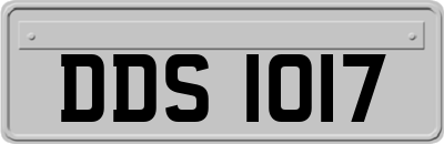 DDS1017