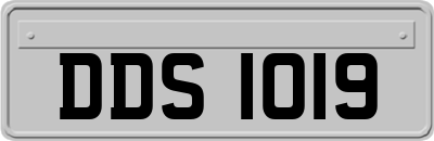 DDS1019