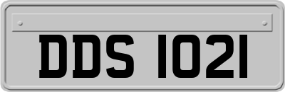 DDS1021