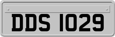DDS1029