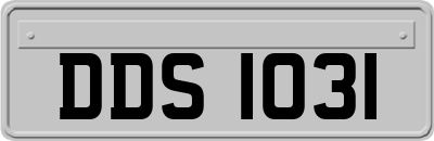 DDS1031
