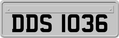 DDS1036