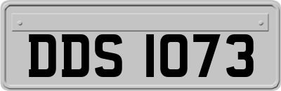 DDS1073