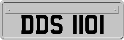 DDS1101