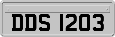 DDS1203