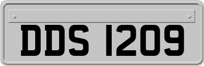DDS1209