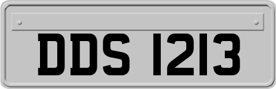 DDS1213