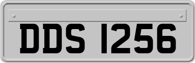 DDS1256