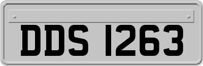 DDS1263