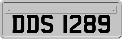 DDS1289