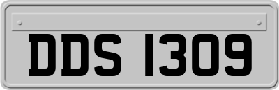 DDS1309
