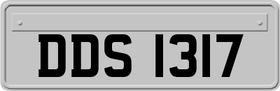 DDS1317