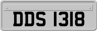DDS1318