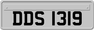 DDS1319