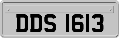 DDS1613