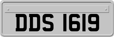 DDS1619