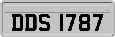 DDS1787